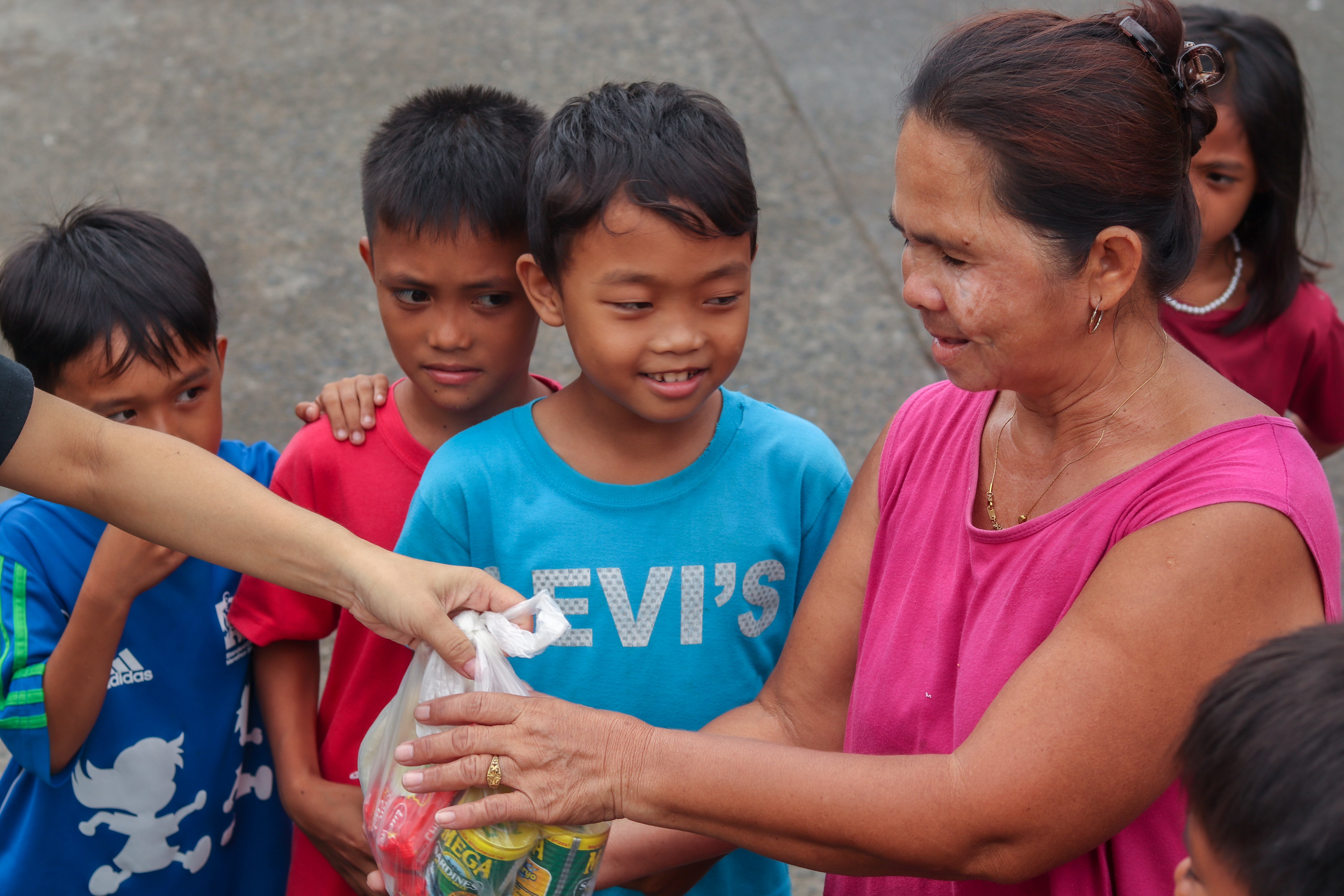 Grocery Provisions for Families
