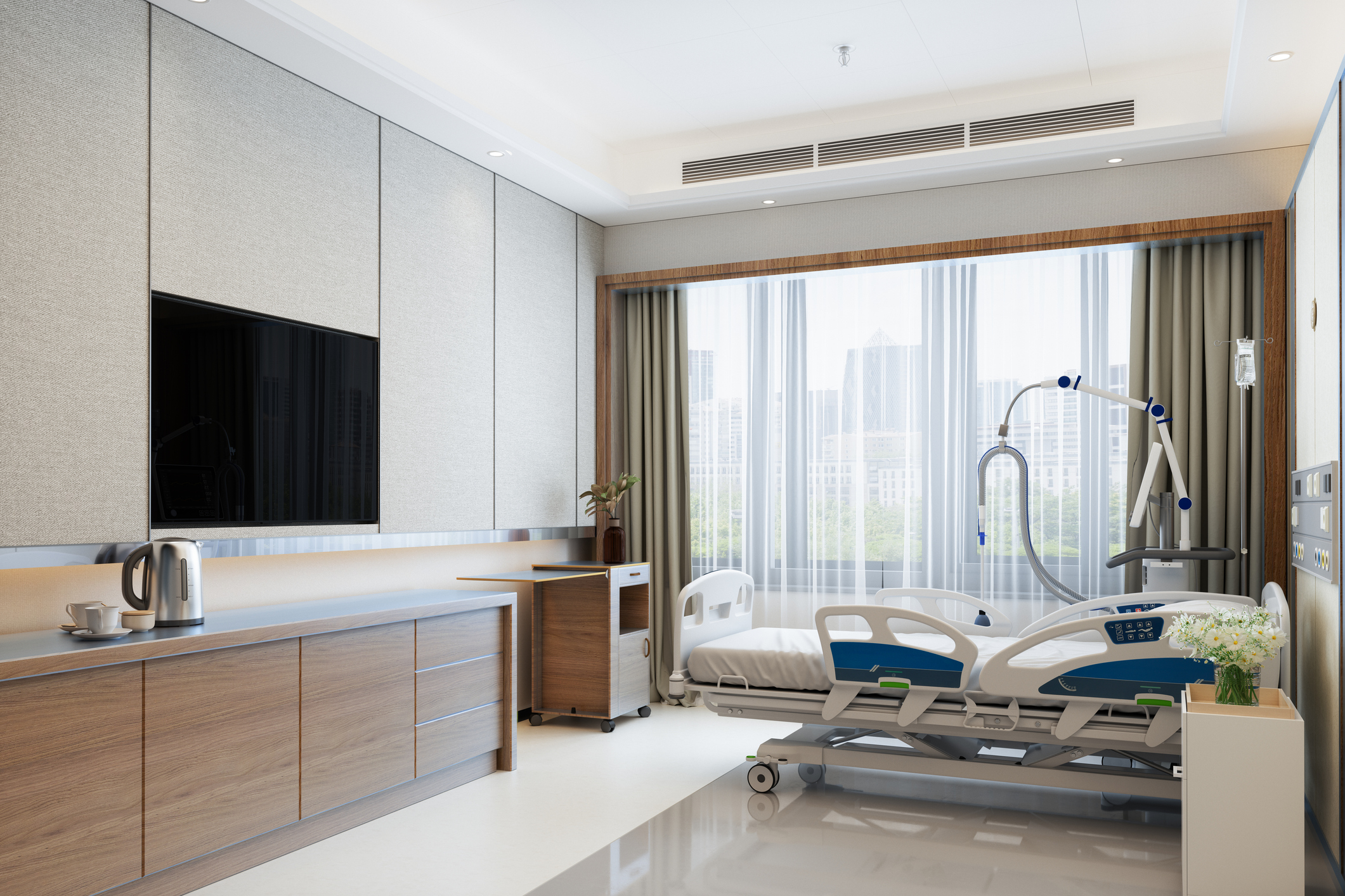 Professional Healthcare Environment